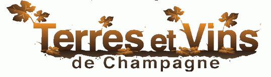 Terres et Vins & Vignerons de Champagne